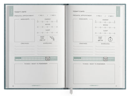 The Pregnancy Journal